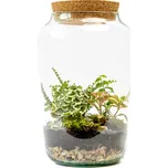 Gardners Skleněná dóza Stipa s korkovým špuntem, 30x17 cm - osázené vlhkomilně