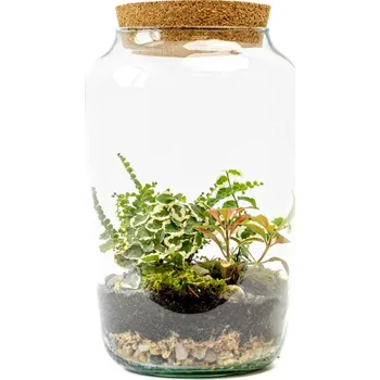 Váza Gardners Skleněná dóza Stipa s korkovým špuntem, 30x17 cm - osázené vlhkomilně