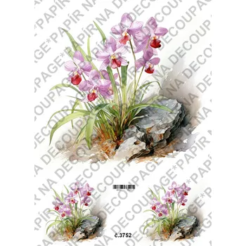 Umělecký papír Rýžový a soft papír na decoupage - Orchidej - KB03752 Materiál: Soft, Rozměr: A4