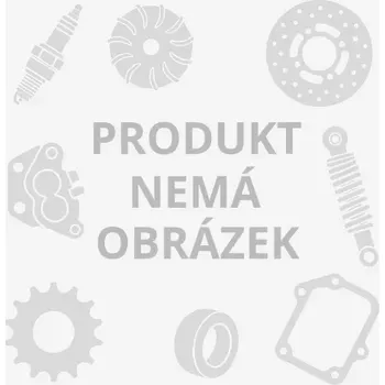 Motor pro motocykl Malossi Válečky 20x17 Malossi -- 15,5 6611095.U0