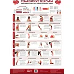 Vydavateľstvo Poznání Anatomický plakát - Terapeutické tejpování 48 x 70 cm | CS
