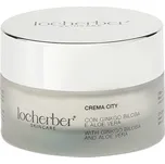 Locherber Skincare CITY CREAM, 50 ml