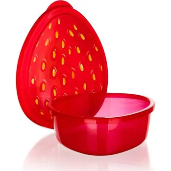 BANQUET Box svačinový STRAWBERRY 19,5 x 16 x 6 cm (BANQUET Box svačinový STRAWBERRY 19,5 x 16 x 6 cm)