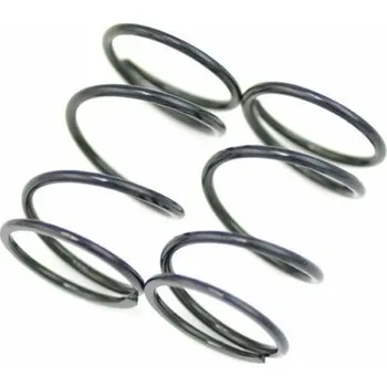 RC náhradní díl Serpent Spring Fr/Rr Schwarz 811GT 37lbs (2) SER600602 - expresní doprava