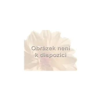 Unisex parfém Xerjoff Alexandria II Vlasový sprej 30 ml