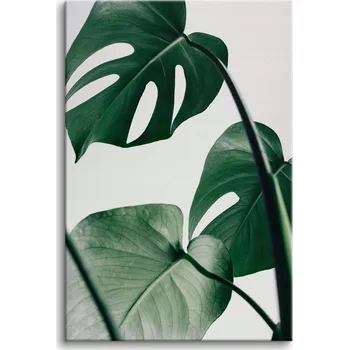 Obraz Obraz na plátně obraz na zeď do obýváku zelené listy monstera 80x120