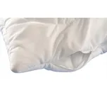 Brotex Náhradní korpus polštáře bez…