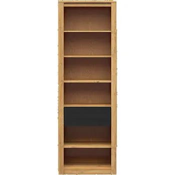 Knihovna Brwcz WALTON REG1S dub velký/dub černý***