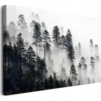 Obraz Obraz na plátně obrazy na zeď do obýváku Les v mlze 80x120cm