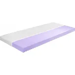 Vomaks Pěnová matrace ADELKA, výška 10 cm (Rozměr: 160 x 200 cm, Potah matrace: aloe vera)