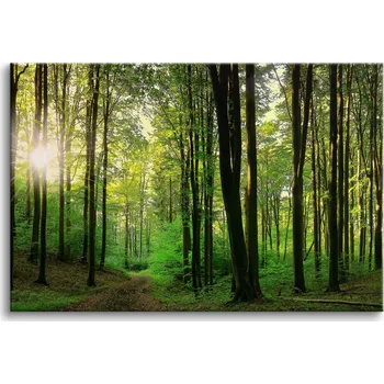 Obraz Obraz na plátně nástěnné obrazy do ložnice stromy zelený les 80x120cm