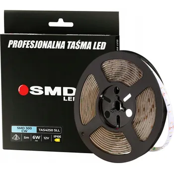 LED osvětlení LED pásek 300 SMD2835 12V 6W studená bílá IP65