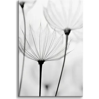 Obraz Moderní obraz do obýváku Dekorace na zeď Obrazy na plátně 80x120