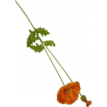 umělá květina Mák větvička 105 cm světle oranžová
