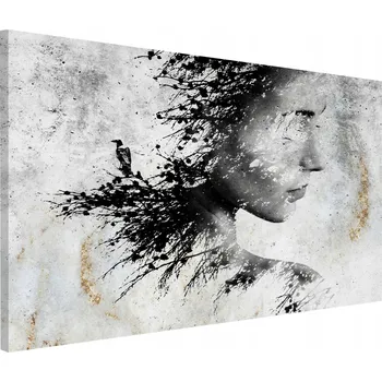 Obraz Obraz na plátně obrazy na zeď do obýváku Žena Abstrakce 80x120cm