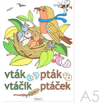 omalovánky Omalovánka A5 Litera - Ptáček