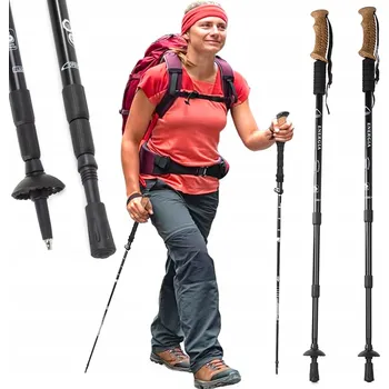 Trekingová hůl Hole na Nordic Walking SATIS, antishock, nastavitelné 63-135 cm, 2 ks