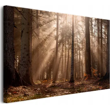 Obraz Obraz na plátně na zeď do obýváku Dekorace Lesní krajina 80x120