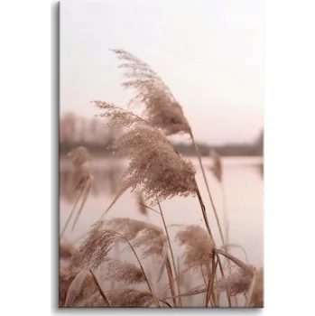 Obraz Obrazy na plátně dekorace na zeď do obýváku tráva jezero 80x120cm