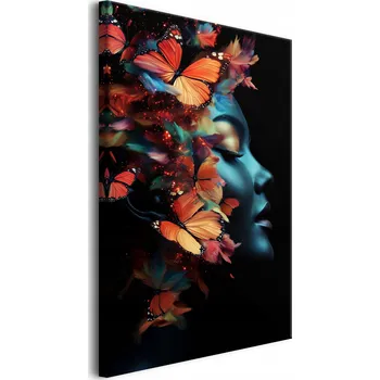 Obraz Umělecký obraz na plátně Digitální tisk Barevný Portrét ženy Motýli