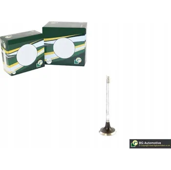 Ventilátor topení a klimatizace Výfukový ventil BGA V912003