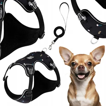 Vodítko pro psa Postroj + vodítko pro malého psa Truelove Lightness černé XXXS