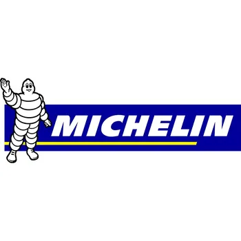 Zimní osobní pneu Zimní pneumatika Michelin X Ice 175/65 R15 88 T s přilnavostí na sněhu (3PMSF)