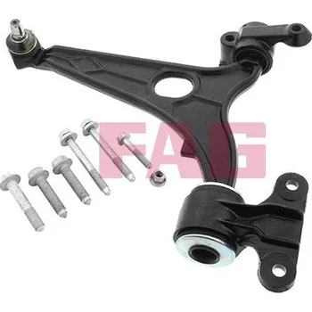 Zavěšení kol Řídicí páka, zavěšení kol Schaeffler FAG 821 0954 10