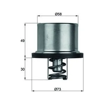 Automobilové těsnění Termostat, chladivo MAHLE THD 1 79