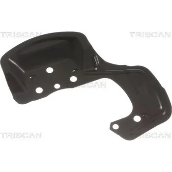 Brzdový kotouč Ochranný plech proti rozstřikování, brzdový kotouč TRISCAN 8125 24108