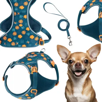 Vodítko pro psa Postroj + vodítko pro malého psa Truelove Lightness tyrkysové XXXS