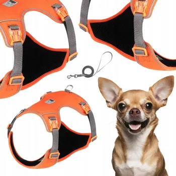 Vodítko pro psa Postroj + vodítko pro malého psa Truelove Lightness oranžové XXXS