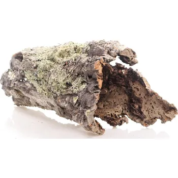 Dekorace do akvária INVITAL Kůra korkového dubu S (nad Ø12 cm)