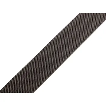 Galanterie Hladký oboustranný popruh s leskem šíře 25 mm Varianta: 10 šedá tmavá, Balení: 1 m