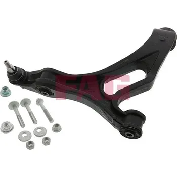 Zavěšení kol Řídicí páka, zavěšení kol Schaeffler FAG 821 0668 10