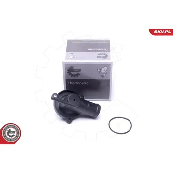 Těsnění motoru Termostat, chladivo ESEN SKV 20SKV176