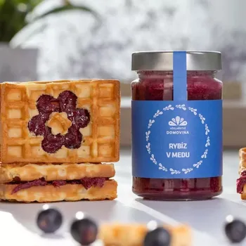 Včelařství Domovina Rybíz v medu 380g