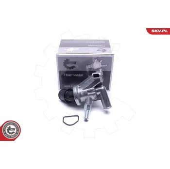 Těsnění motoru Termostat, chladivo ESEN SKV 20SKV214