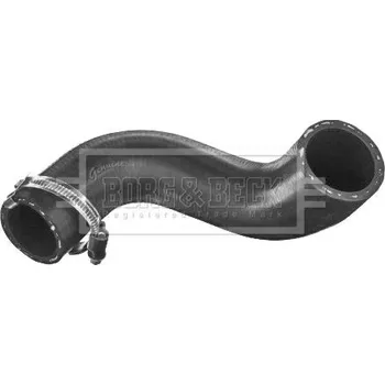 Turbodmychadlo Hadice plnícího vzduchu BORG & BECK BTH1565