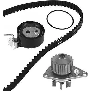 ROZRZAD KPL.Z POMPA CITROEN 1.1 02-