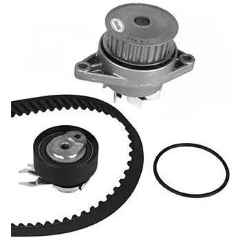 ROZRZAD KPL.Z POMPA SKODA 1.6 95-