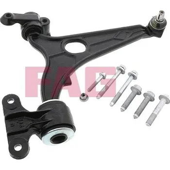 Zavěšení kol Řídicí páka, zavěšení kol Schaeffler FAG 821 0955 10