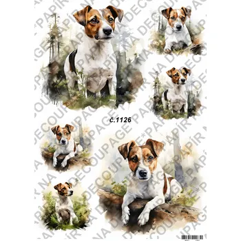 Umělecký papír Rýžový a soft papír na decoupage - Pes Jack Russel - KB01126 Materiál: Soft, Rozměr: A4