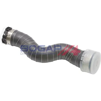 Turbodmychadlo Hadice plnícího vzduchu BOGAP B1711149