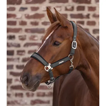 Waldhausen Ohlávka Breath, Anthracite Velikost: Cob