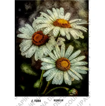 Umělecký papír Rýžový a soft papír na decoupage - Kopretiny abstrakt - KB01086 Materiál: Soft, Rozměr: A4