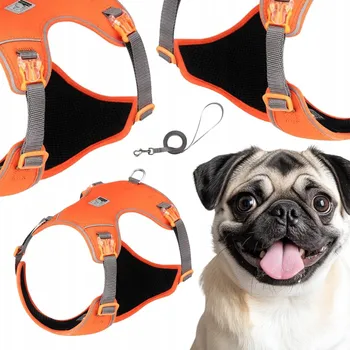 Vodítko pro psa POSTROJ + VODÍTKO ULTRALEHKÉ PRODYŠNÉ TRUELOVE LIGHTNESS ORANŽOVÉ XS