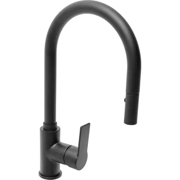 Vodovodní baterie Swiss aqua technologies Dřezová baterie SAT B-Way s otočným ramínkem, 2 proudy černá matná SATBSBW183