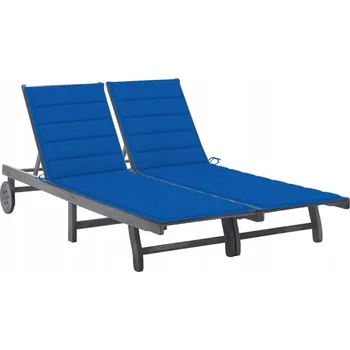 Zahradní lehátko VidaXL 2-místné zahradní lehátko s polštáři, šedé, akátové dřevo