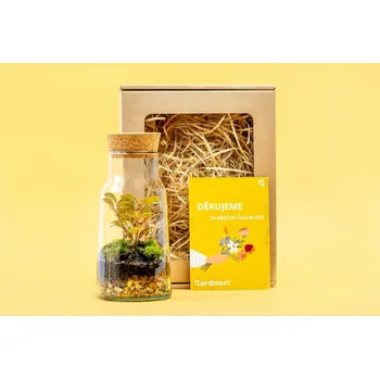 Bytová dekorace Gardners Dárková sada pro učitele "Skleněná dóza Syringa s korkovým špuntem, 18x9,5 cm - osázené vlhkomilně"